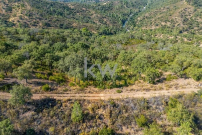 Terreno para Venda em Loule (São Clemente)