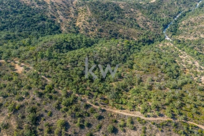 Terreno para Venda em Loule (São Clemente)
