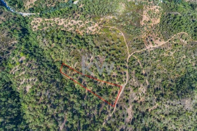 Terreno para Venda em Loule (São Clemente)