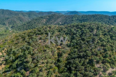 Terreno para Venda em Loule (São Clemente)