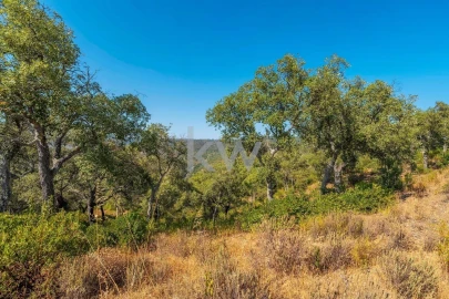 Terreno para Venda em Loule (São Clemente)