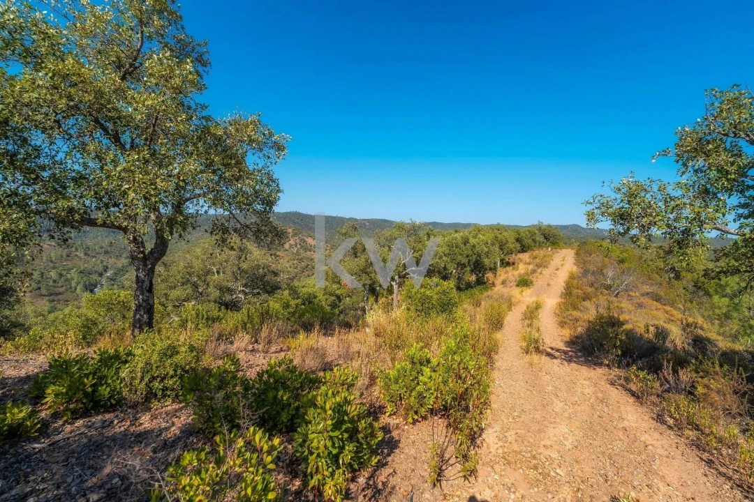 Terreno para Venda em Loule (São Clemente) Foto 2