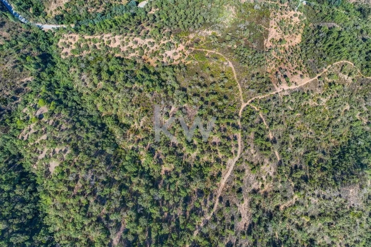 Terreno para Venda em Loule (São Clemente) Foto 18