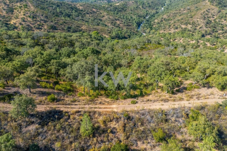 Terreno para Venda em Loule (São Clemente) Foto 29