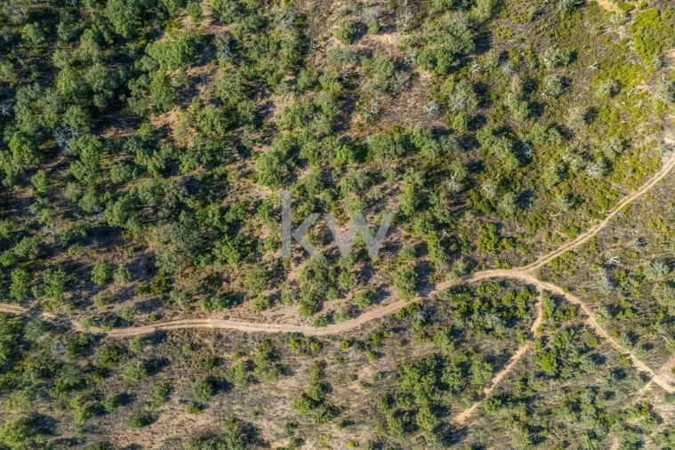 Terreno para Venda em Loule (São Clemente) Foto 13