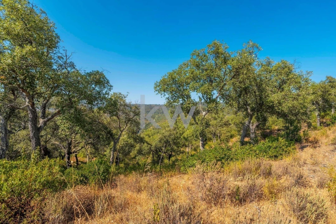 Terreno para Venda em Loule (São Clemente) Foto 6