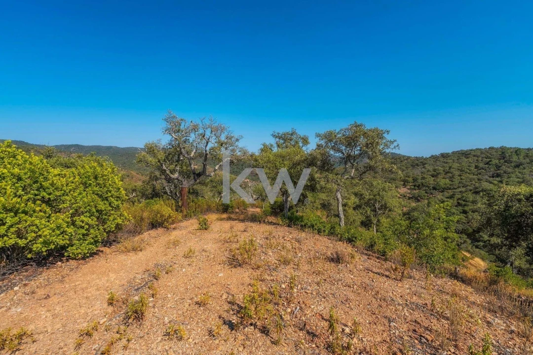 Terreno para Venda em Loule (São Clemente) Foto 20