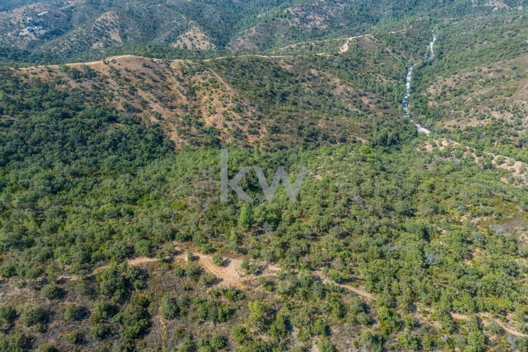 Terreno para Venda em Loule (São Clemente) Foto 6