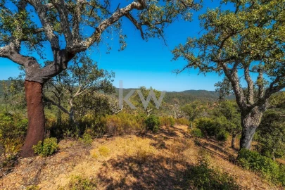 Terreno para Venda em Loule (São Clemente)