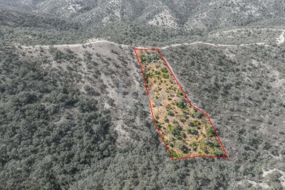 Terreno para Venda em Loule (São Clemente)