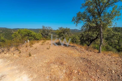 Terreno para Venda em Loule (São Clemente)