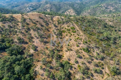 Terreno para Venda em Loule (São Clemente)