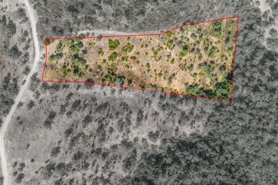 Terreno para Venda em Loule (São Clemente)