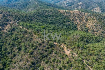 Terreno para Venda em Loule (São Clemente)