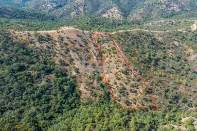 Terreno para Venda em Loule (São Clemente)