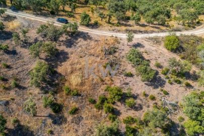 Terreno para Venda em Loule (São Clemente)