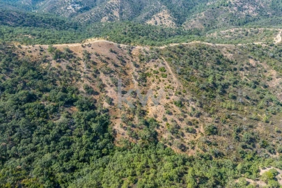 Terreno para Venda em Loule (São Clemente)