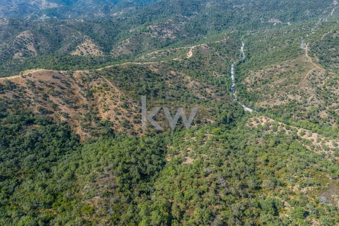 Terreno para Venda em Loule (São Clemente) Foto 5