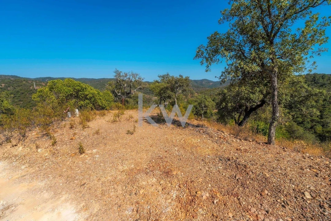 Terreno para Venda em Loule (São Clemente) Foto 15