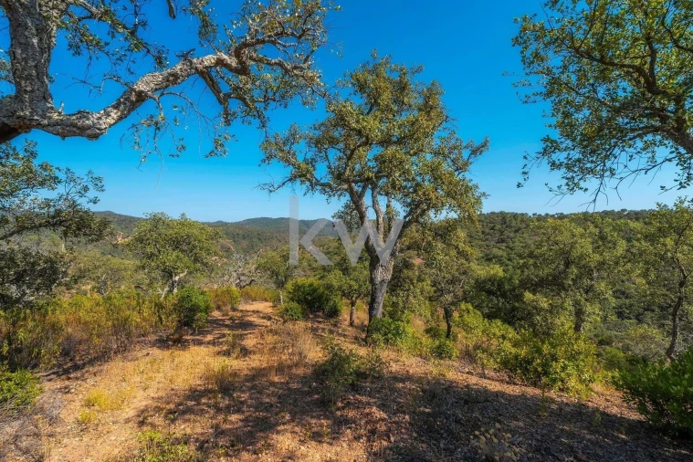 Terreno para Venda em Loule (São Clemente) Foto 22