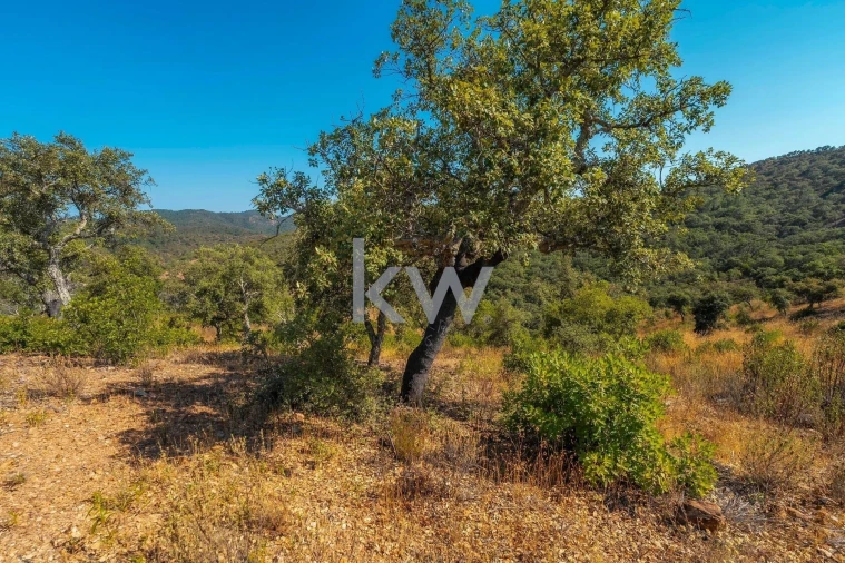 Terreno para Venda em Loule (São Clemente) Foto 29