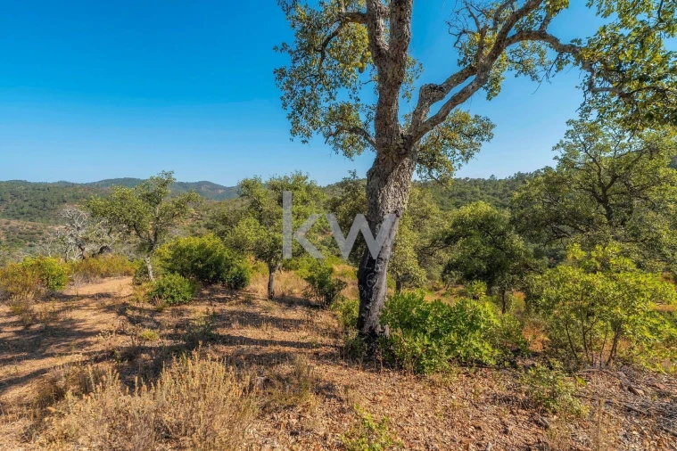 Terreno para Venda em Loule (São Clemente) Foto 24