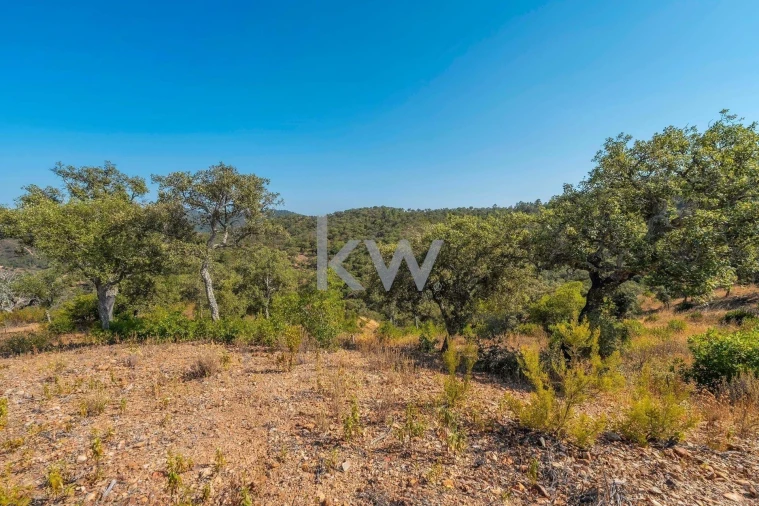 Terreno para Venda em Loule (São Clemente) Foto 19