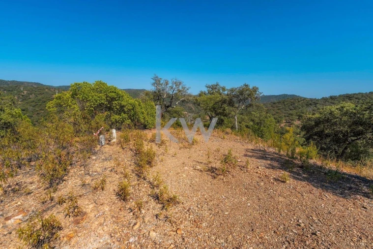 Terreno para Venda em Loule (São Clemente) Foto 17