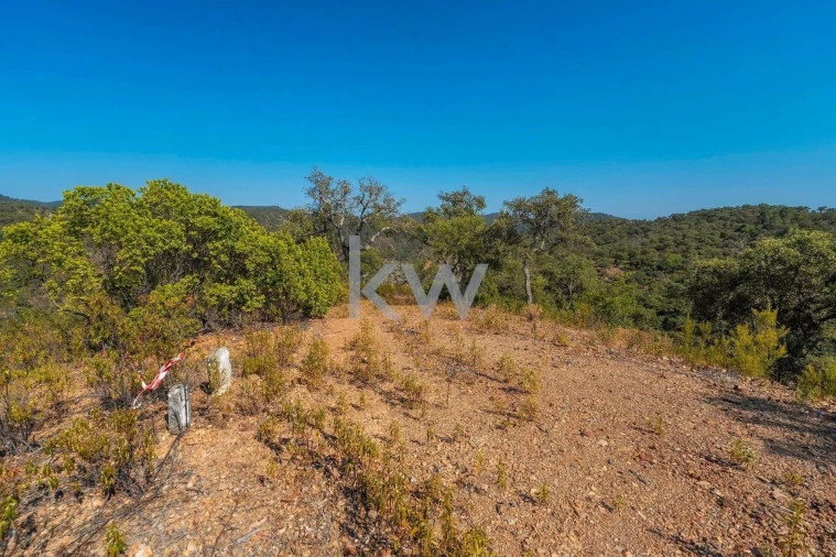 Terreno para Venda em Loule (São Clemente) Foto 18