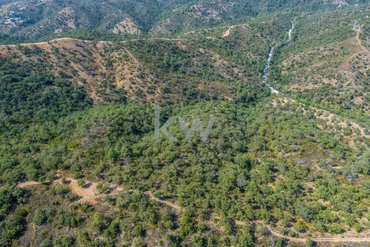 Terreno para Venda em Loule (São Clemente) Foto 7