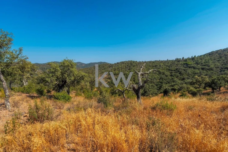 Terreno para Venda em Loule (São Clemente) Foto 31