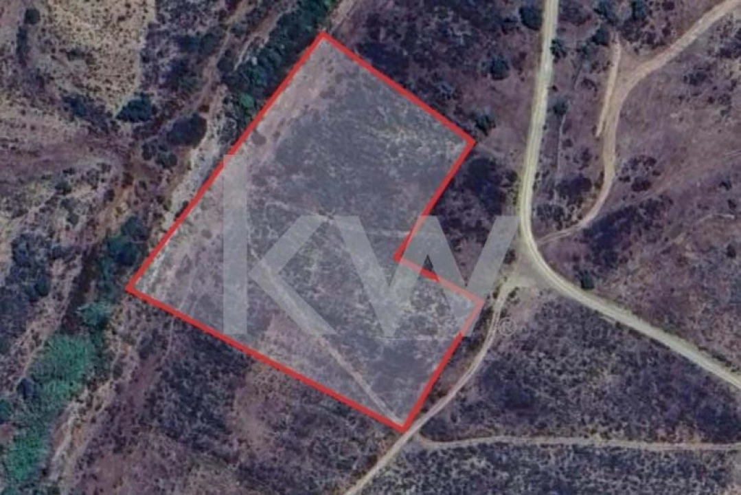 Terreno para Venda em Martim Longo Foto 1