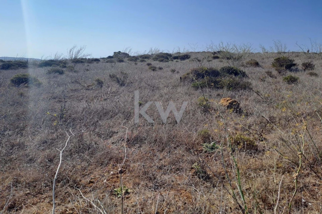 Terreno para Venda em Vila do Bispo e Raposeira Foto 2