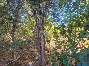 Moradia T6 para Venda em São Silvestre
