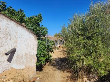Moradia T6 para Venda em São Silvestre