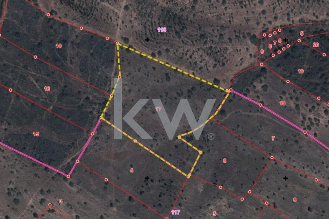 Terreno para Venda em Martim Longo Foto 1