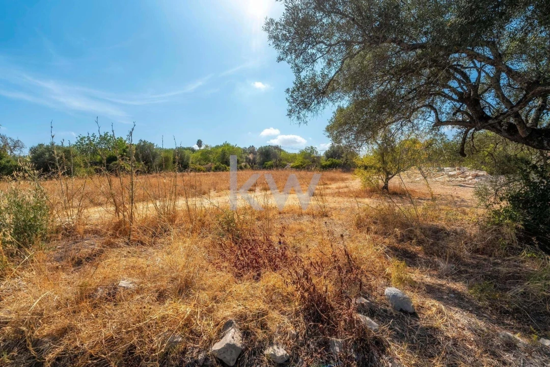 Terreno para Venda em Santa Barbara de Nexe Foto 11