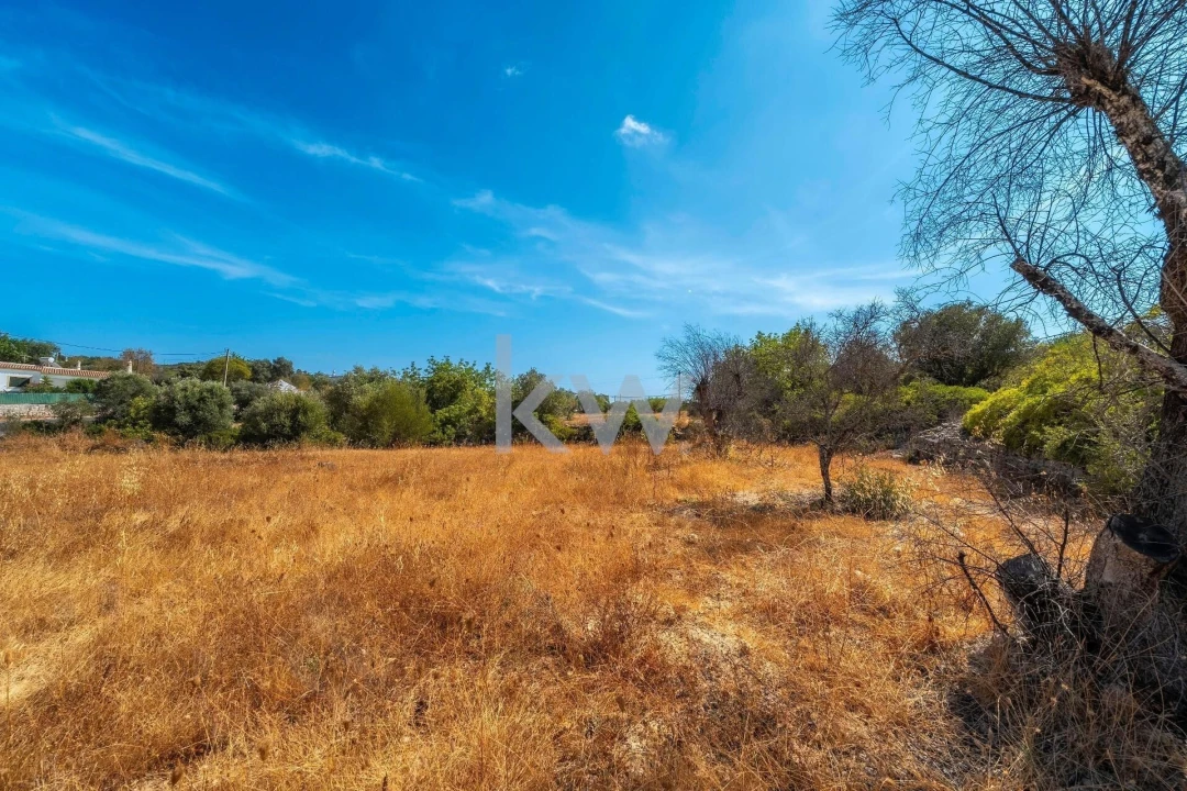 Terreno para Venda em Santa Barbara de Nexe Foto 27