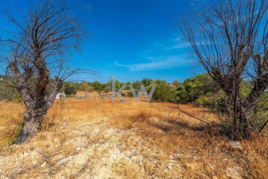 Terreno para Venda em Santa Barbara de Nexe Foto 19