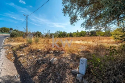 Terreno para Venda em Santa Barbara de Nexe