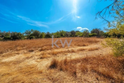 Terreno para Venda em Santa Barbara de Nexe