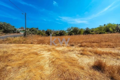 Terreno para Venda em Santa Barbara de Nexe