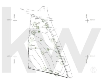 Terreno para Venda em Santa Barbara de Nexe
