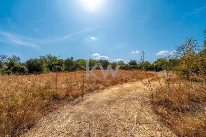 Terreno para Venda em Santa Barbara de Nexe