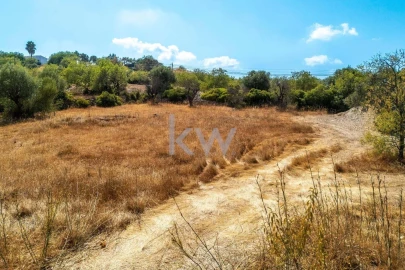Terreno para Venda em Santa Barbara de Nexe
