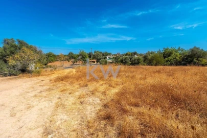 Terreno para Venda em Santa Barbara de Nexe