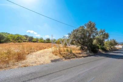 Terreno para Venda em Santa Barbara de Nexe