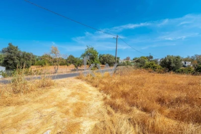 Terreno para Venda em Santa Barbara de Nexe