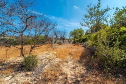 Terreno para Venda em Santa Barbara de Nexe