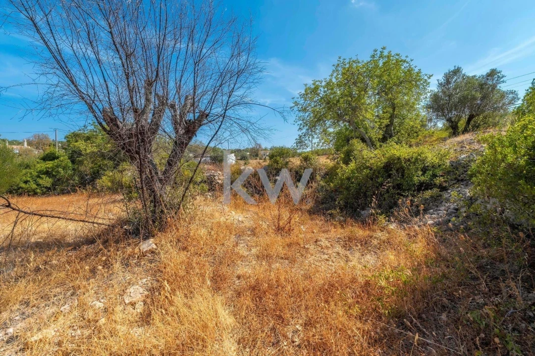 Terreno para Venda em Santa Barbara de Nexe Foto 20